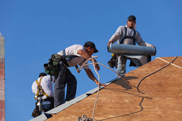 Best Residential Roofing Contractor  in Montour Falls, NY