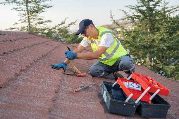 Best Tile Roofing Contractor  in Montour Falls, NY